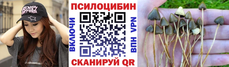 Галлюциногенные грибы Magic Shrooms  Спас-Клепики 